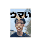 【 公式 】チンパンの知らない世界スタンプ（個別スタンプ：20）