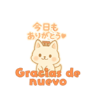 もちきつねのほっこり家族連絡スペイン語版（個別スタンプ：26）