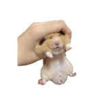 手の中のおむ（個別スタンプ：18）