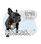 フレブルの使えるハングル1（個別スタンプ：2）