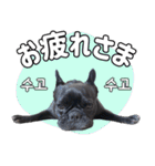 フレブルの使えるハングル1（個別スタンプ：4）