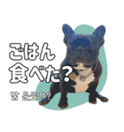 フレブルの使えるハングル1（個別スタンプ：5）