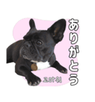 フレブルの使えるハングル1（個別スタンプ：7）