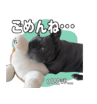 フレブルの使えるハングル1（個別スタンプ：8）