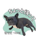 フレブルの使えるハングル1（個別スタンプ：10）