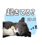フレブルの使えるハングル1（個別スタンプ：14）