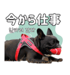フレブルの使えるハングル1（個別スタンプ：15）