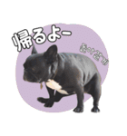 フレブルの使えるハングル1（個別スタンプ：17）