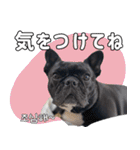 フレブルの使えるハングル1（個別スタンプ：18）
