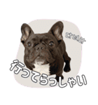 フレブルの使えるハングル1（個別スタンプ：20）