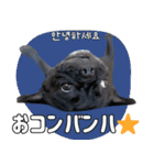 フレブルの使えるハングル1（個別スタンプ：21）