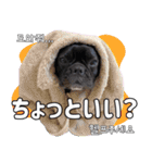 フレブルの使えるハングル1（個別スタンプ：22）