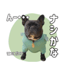 フレブルの使えるハングル1（個別スタンプ：23）