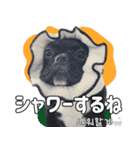 フレブルの使えるハングル1（個別スタンプ：25）