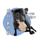 フレブルの使えるハングル1（個別スタンプ：31）