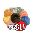 フレブルの使えるハングル1（個別スタンプ：38）