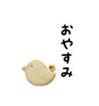 ドット絵ひよこ＆実写パン（個別スタンプ：2）