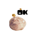 ドット絵ひよこ＆実写パン（個別スタンプ：8）