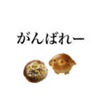 ドット絵ひよこ＆実写パン（個別スタンプ：10）