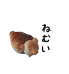 ドット絵ひよこ＆実写パン（個別スタンプ：18）