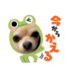 過去作の総集編みたいなものです428（個別スタンプ：3）