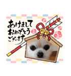 過去作の総集編みたいなものです428（個別スタンプ：7）