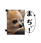 過去作の総集編みたいなものです428（個別スタンプ：17）