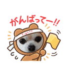 過去作の総集編みたいなものです428（個別スタンプ：19）