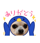 過去作の総集編みたいなものです428（個別スタンプ：21）
