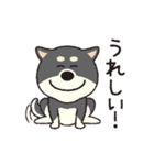 しばいぬさん（黒）（個別スタンプ：1）
