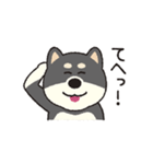しばいぬさん（黒）（個別スタンプ：3）