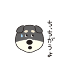 しばいぬさん（黒）（個別スタンプ：7）