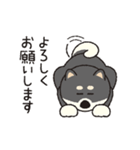 しばいぬさん（黒）（個別スタンプ：9）