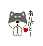 しばいぬさん（黒）（個別スタンプ：12）