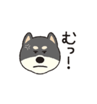 しばいぬさん（黒）（個別スタンプ：13）