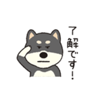 しばいぬさん（黒）（個別スタンプ：14）