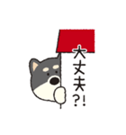 しばいぬさん（黒）（個別スタンプ：15）