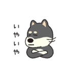 しばいぬさん（黒）（個別スタンプ：16）