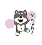 しばいぬさん（黒）（個別スタンプ：19）
