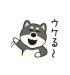 しばいぬさん（黒）（個別スタンプ：23）