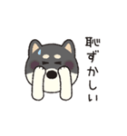 しばいぬさん（黒）（個別スタンプ：24）