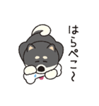 しばいぬさん（黒）（個別スタンプ：27）