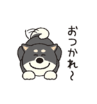 しばいぬさん（黒）（個別スタンプ：29）