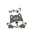 しばいぬさん（黒）（個別スタンプ：30）