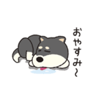 しばいぬさん（黒）（個別スタンプ：34）