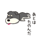 しばいぬさん（黒）（個別スタンプ：35）