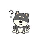 しばいぬさん（黒）（個別スタンプ：36）