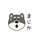 しばいぬさん（黒）（個別スタンプ：39）