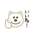 しばいぬさん（白）（個別スタンプ：2）