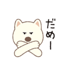 しばいぬさん（白）（個別スタンプ：5）